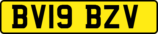 BV19BZV