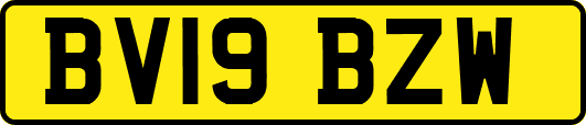 BV19BZW