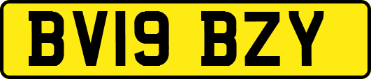 BV19BZY