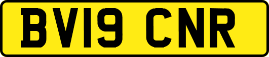 BV19CNR