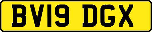 BV19DGX