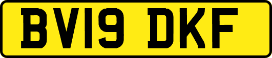 BV19DKF