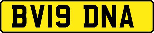 BV19DNA
