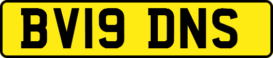 BV19DNS