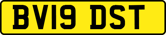 BV19DST