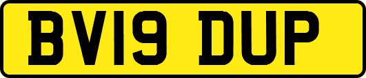 BV19DUP