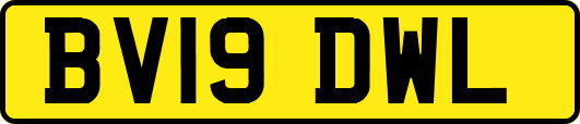 BV19DWL