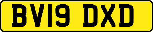 BV19DXD