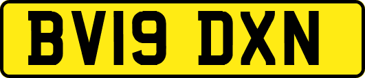 BV19DXN