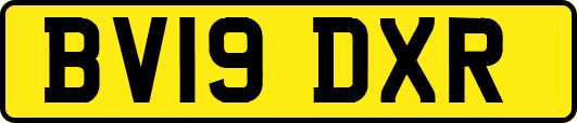 BV19DXR