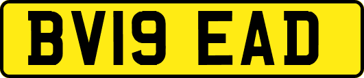 BV19EAD
