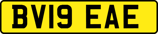BV19EAE