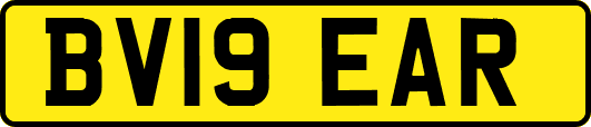 BV19EAR