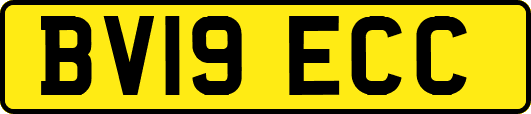 BV19ECC