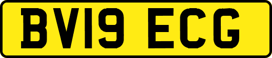 BV19ECG