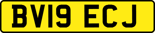 BV19ECJ
