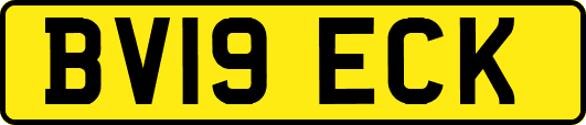 BV19ECK