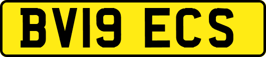 BV19ECS