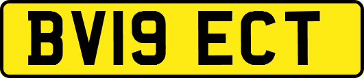 BV19ECT