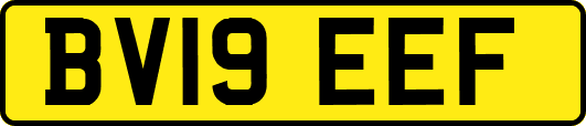 BV19EEF