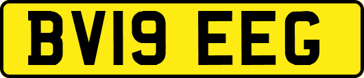 BV19EEG