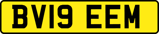 BV19EEM