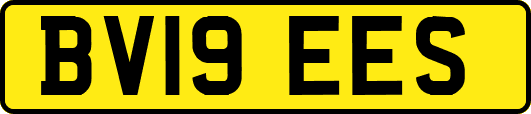 BV19EES