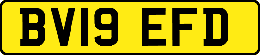 BV19EFD