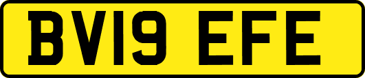 BV19EFE
