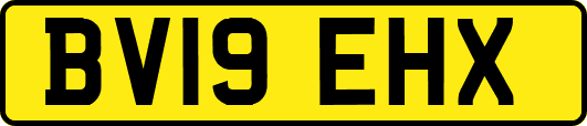 BV19EHX