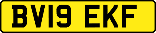 BV19EKF