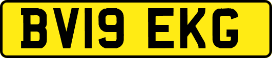 BV19EKG