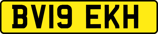 BV19EKH