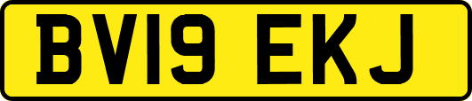 BV19EKJ