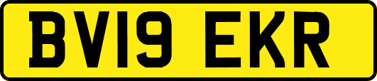 BV19EKR