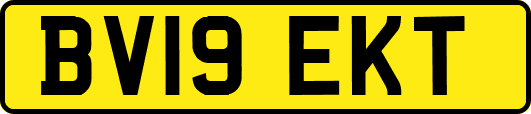 BV19EKT