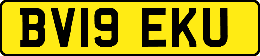 BV19EKU