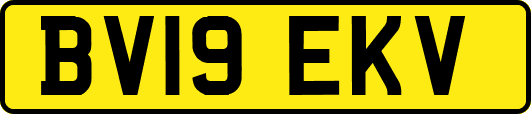 BV19EKV