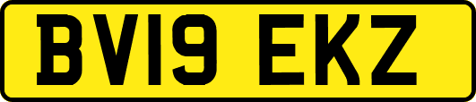 BV19EKZ