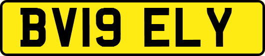 BV19ELY