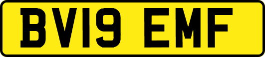 BV19EMF