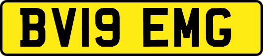 BV19EMG