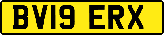 BV19ERX