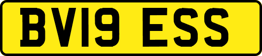 BV19ESS
