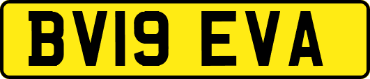 BV19EVA