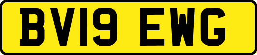 BV19EWG
