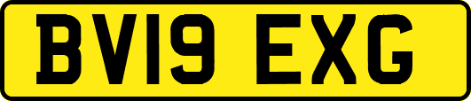 BV19EXG