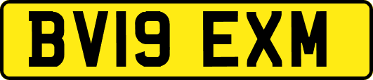 BV19EXM
