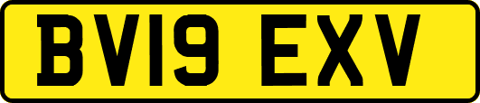 BV19EXV