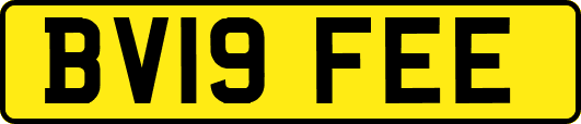 BV19FEE
